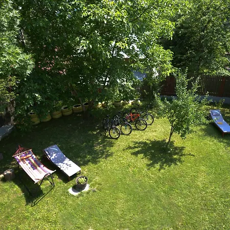 Casa Din Plai Provita de Sus