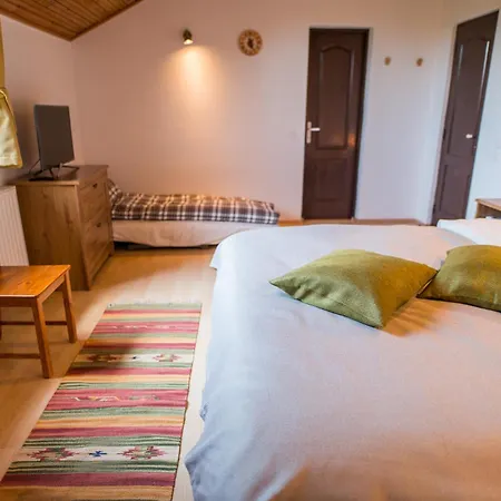 Bed & Breakfast Casa Din Plai Provita de Sus