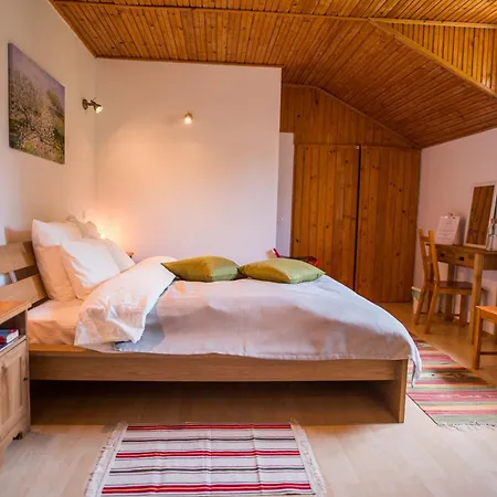 Casa Din Plai Bed & Breakfast Provita de Sus